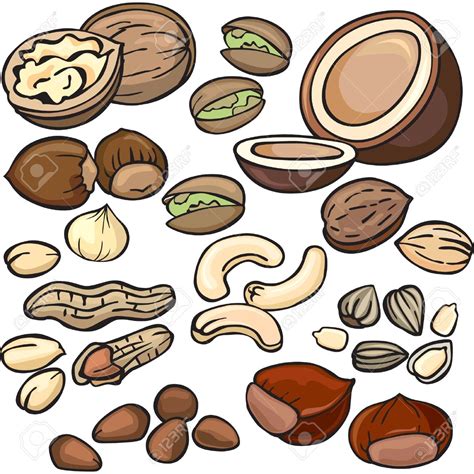 Tree Nut Clipart 20 Free Cliparts Download Images On Clipground 2024