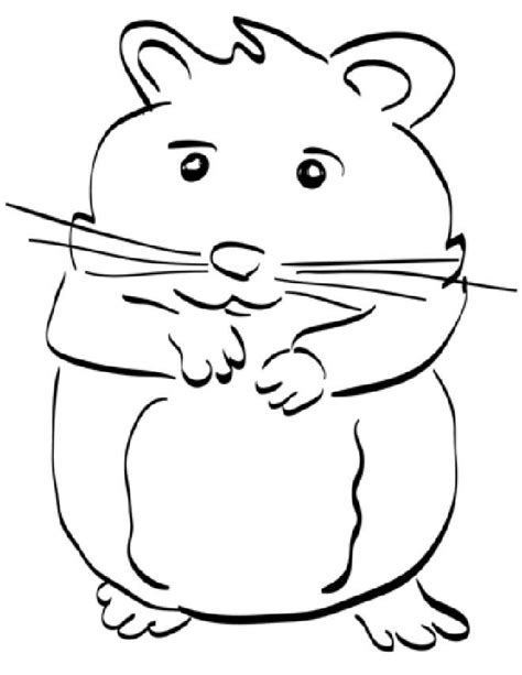 Desenhos De Hamster Para Imprimir E Colorir Pintar