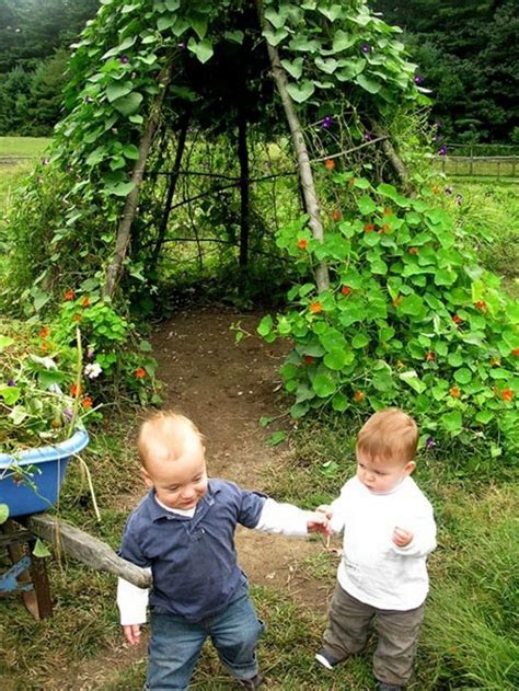How To Build A Living Playhouse That Helps Kids To Understand Nature
