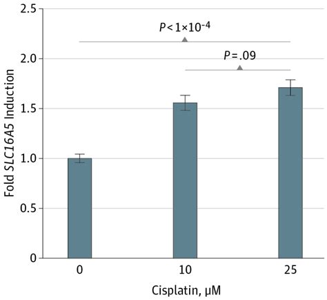 Association Between Slc16a5 Genetic Variation And Cisplatin Induced