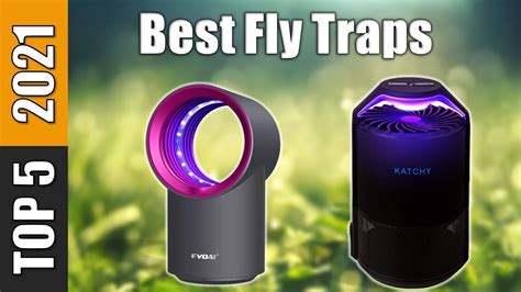 Top 5 Best Fly Traps Reviews 2021 Youtube