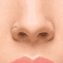 Nose GIFs Tenor