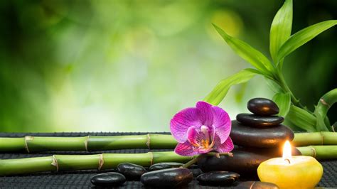 Find the perfect pebble stock photos and editorial news pictures from getty images. nature, Orchids, Pebbles, Candles, Bamboo Wallpapers HD ...