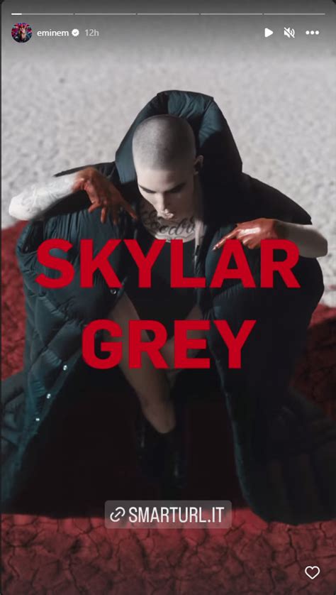 Eminem Shady Records Give Shout Out Skylar Greys New Music Video