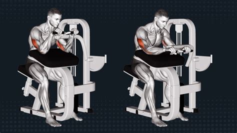 Machine Triceps Extension Muscles Worked How To Benefits And