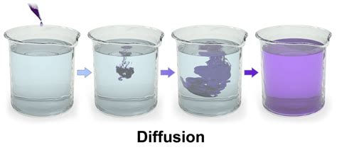 Check spelling or type a new query. Hypertonic Solution: Definition And Role In Cell Biology ...