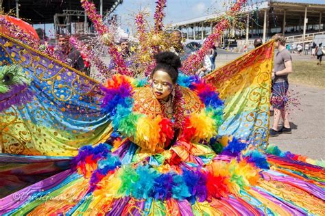 20180210 Img0133 Trinidad Carnival Carnival Carnival Art