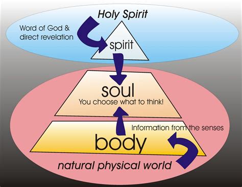 Triune Nature Of Man Spirit Soul Bible Teachings Bible Knowledge