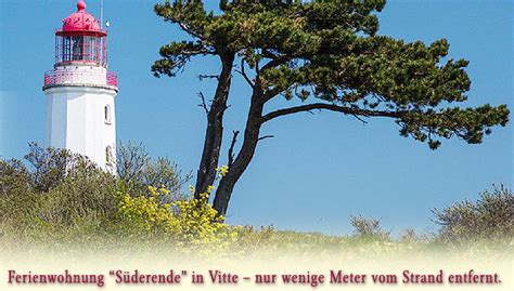 ✔ große ferienwohnungen mit meerblick auf hiddensee. Hiddensee - Ferienwohnung - in Vitte - nur wenige Meter ...