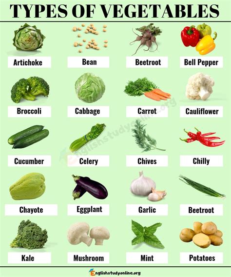 Vegetables Name List Of 400 Fruits And Vegetables Names In