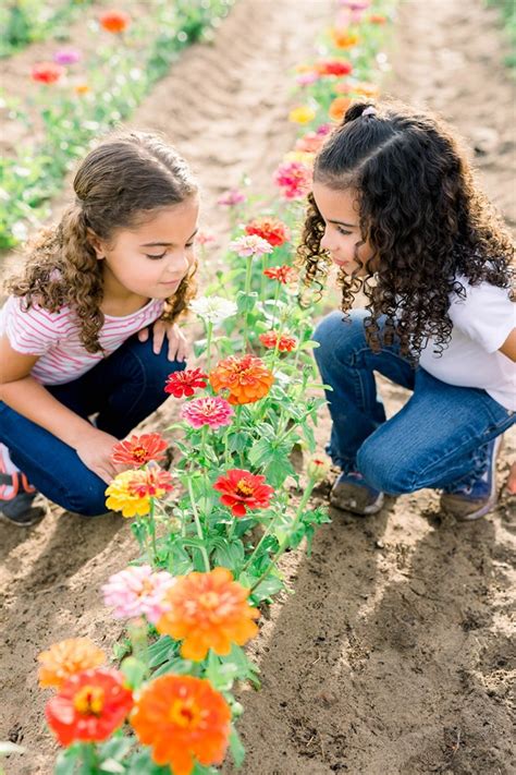 Open seven days a week. Fall Festival + Pumpkin Patch!, Orlando FL - Oct 12, 2019 ...