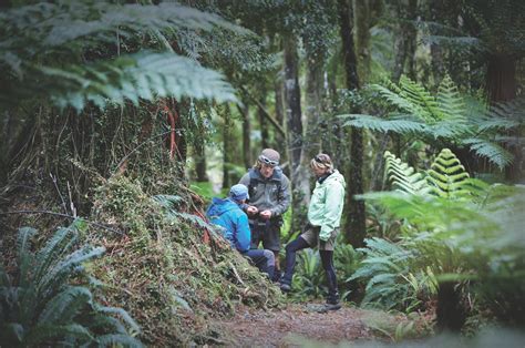 8 Reasons To Walk New Zealands Hollyford Track