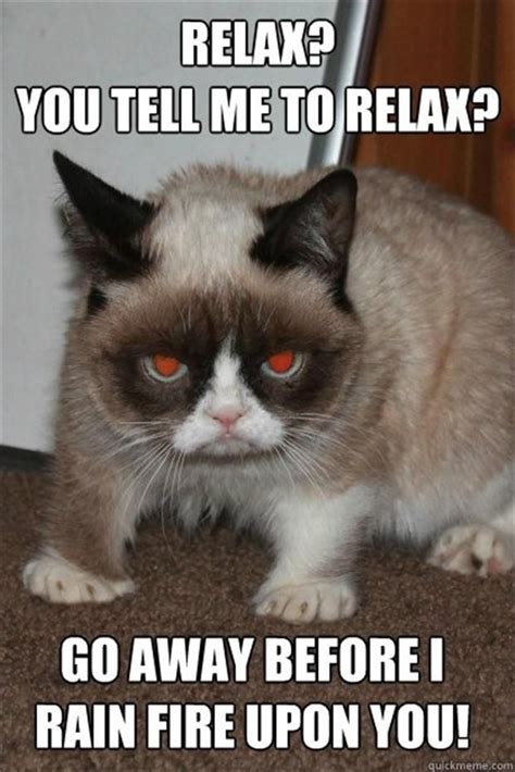 Grumpy Cat Grumpy Cat Funny Pictures Funny Quotes