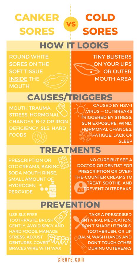 Canker Sore And Cold Sore Causes And Home Remedies Cleure
