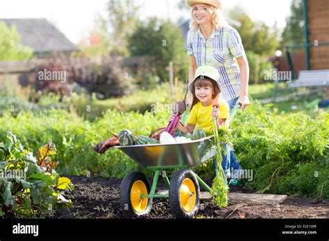 Gardener Woman Pushing Wheelbarrow With Kid Daughter And Vegetables At