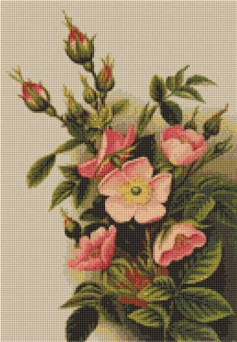 Pink Wild Roses Cross Stitch Chart Floral Counted Cross Stitch Pattern