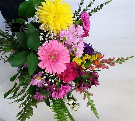 Albums 101 Images Design Image Photo Beautiful Flowers Updated 122023