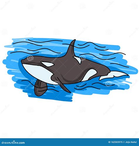 Ilustración Del Logo De Orca Killer Whale Ilustración Del Vector