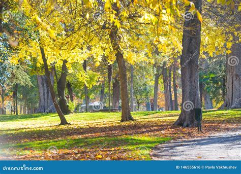 Autumn Park At Bright Sunny Day Stock Photo Image Of Beauty Bright