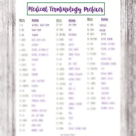 Medical Terminology Prefixes Nursing School Medical Etsy