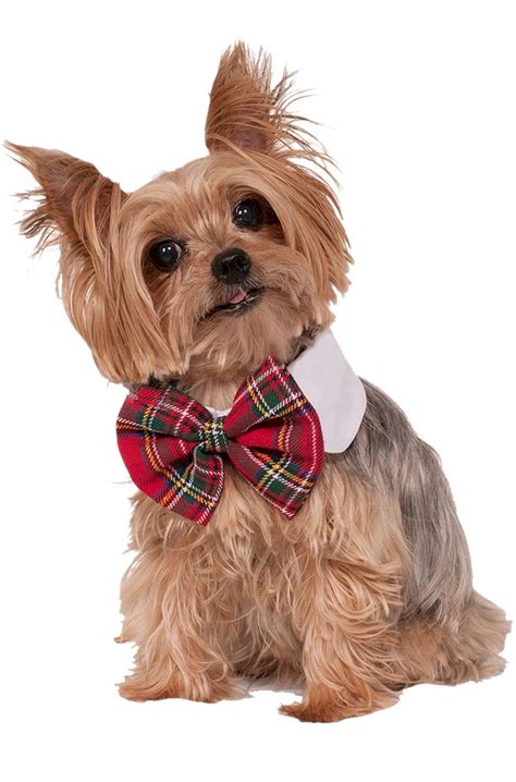 Christmas Bow Dog Collar Pet Costume Accessory Ebay Christmas Dog