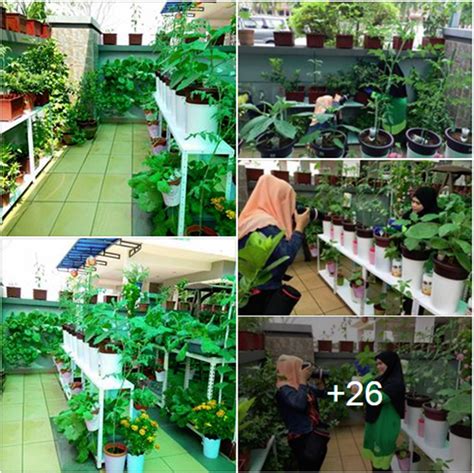 Entahlah sejak beberapa bulan lepas, kemarau dan cuaca kering dan panas menumpulkan semangat nak menanam. DIY Mini Kebun Di Halaman Rumah | MYiDEAKiNi Dot Com