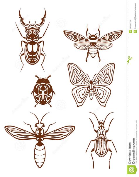 Insects Tattoos In Tribal Style Royalty Free Stock Image