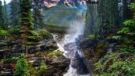 Time Lapse Photography Of Water Falls Surrounded By Tress Athabasca