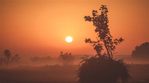 Misty Morning Sunrise 5k Wallpapers On Ewallpapers