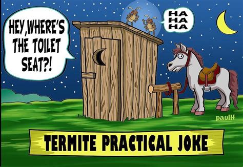 pin by adam s pest control on we love to laugh practical jokes termites jokes