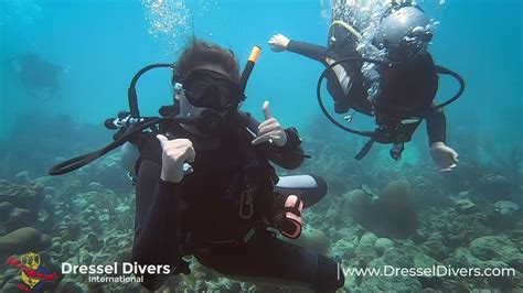 Sacuba Diving In Montego Bay Jamaica March 20 Youtube