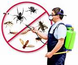 Pest Control Pictures