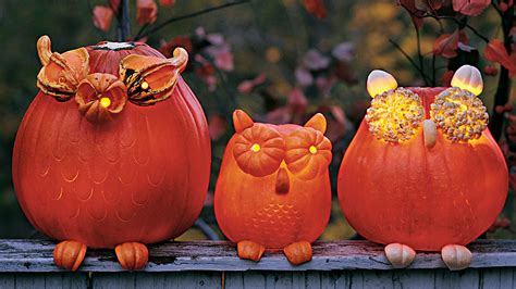 12 Cute Pumpkin Ideas Martha Stewart