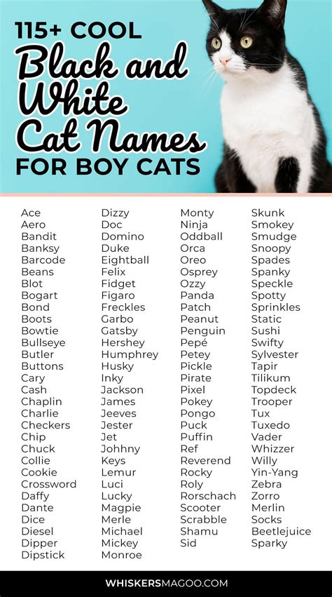 Cool Black And White Cat Names For Boy Cats Whiskers Magoo Boy Cat Names Cute Cat