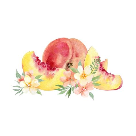 Premium Photo Watercolor Hand Drawing Peaches Fruit And Flowers