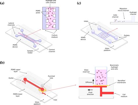 Hydrogel Based Microfluidic Devices For Cell Migration Assays A