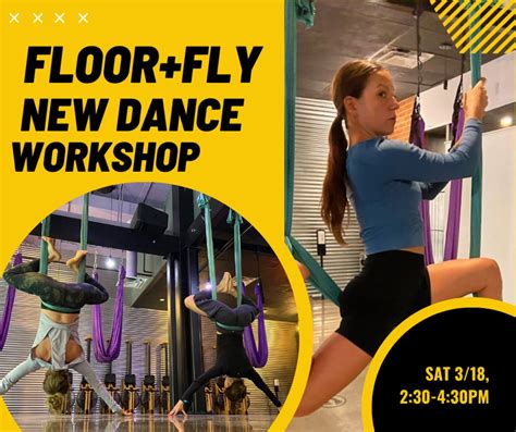 aerial dance workshop 120 min [03 18 23]