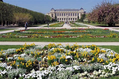 Jardin Des Plantes - Paris - Avoid Crowds