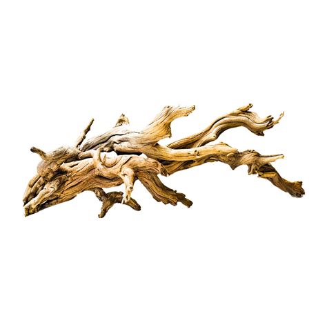Teak Driftwood Sculpture Ai Generative 24490338 Png