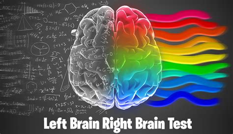 Left Brain Right Brain Test 100 Reliable Psychology Based
