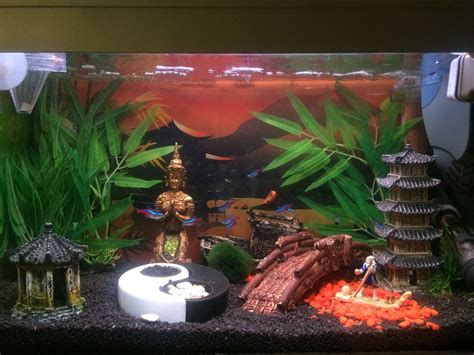 Free wifi is available throughout the entire property. Photo #1 - My Buddha Themed Tank - Koi Angel, Neon Tetra ...