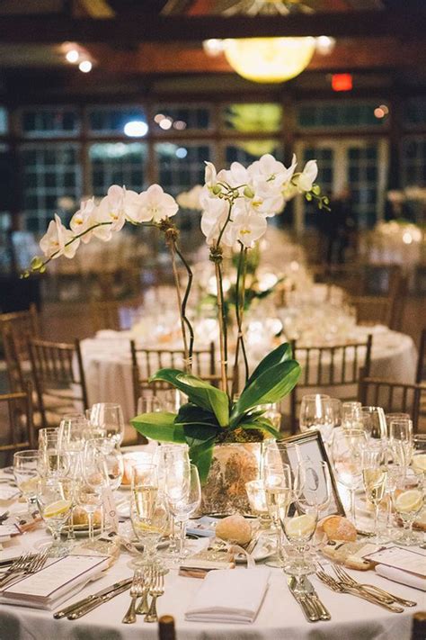 Orchid Wedding Centerpieces Potted Plants Wedding Decor Ideas Art