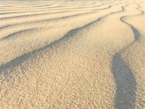 Tiny Sand Dunes Background Free Stock Photo Public Domain Pictures