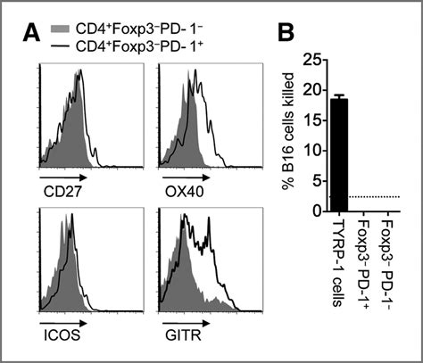 Phenotypic And Functional Characterization Of Intratumor Cd4 þ