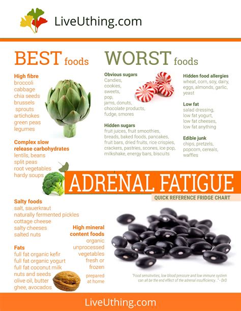 Foods For Adrenal Fatigue Chart Live Uthing