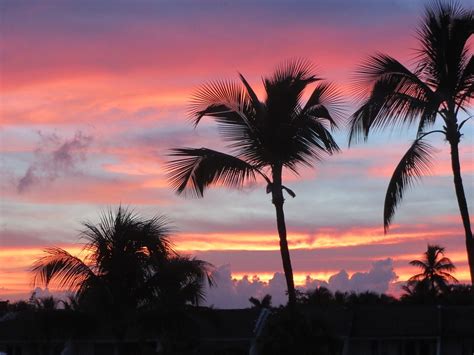 Palm Trees N Sunset Landscape 2127991960720 Christ
