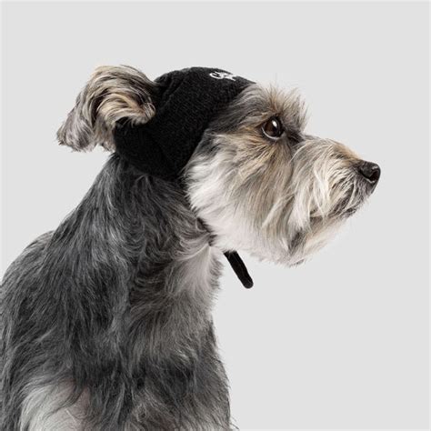 Basic Dog Beanie Hat With Ear Holes Canada Pooch