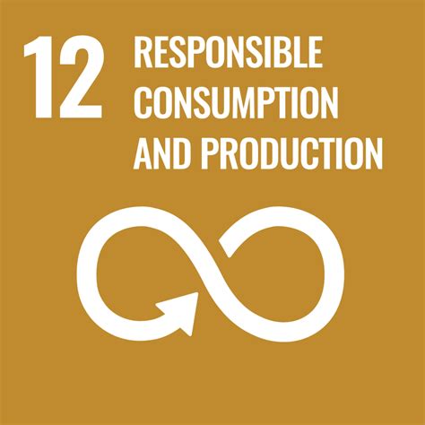 Goal 12 Responsible Consumption And Production United Nations