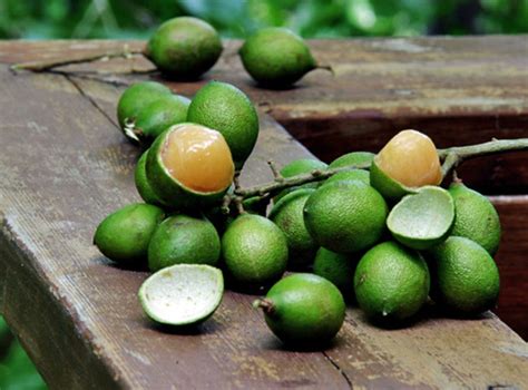 Spanish Lime Or Limoncillo Health Benefits Of Rarest And Exotic Fruits