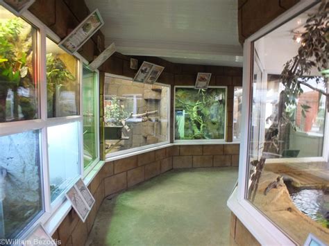 Reptile House Zoochat
